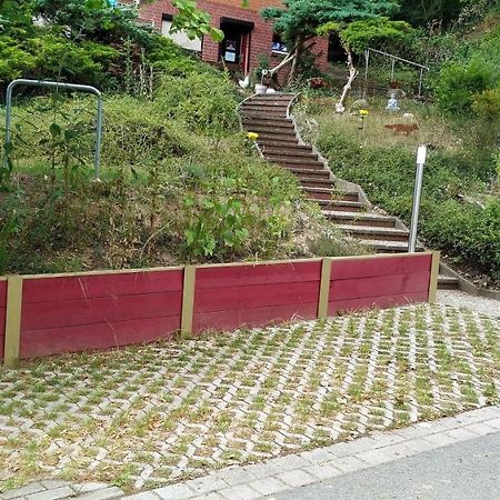 Elbwald-Studio Hitzacker Zewnętrze zdjęcie
